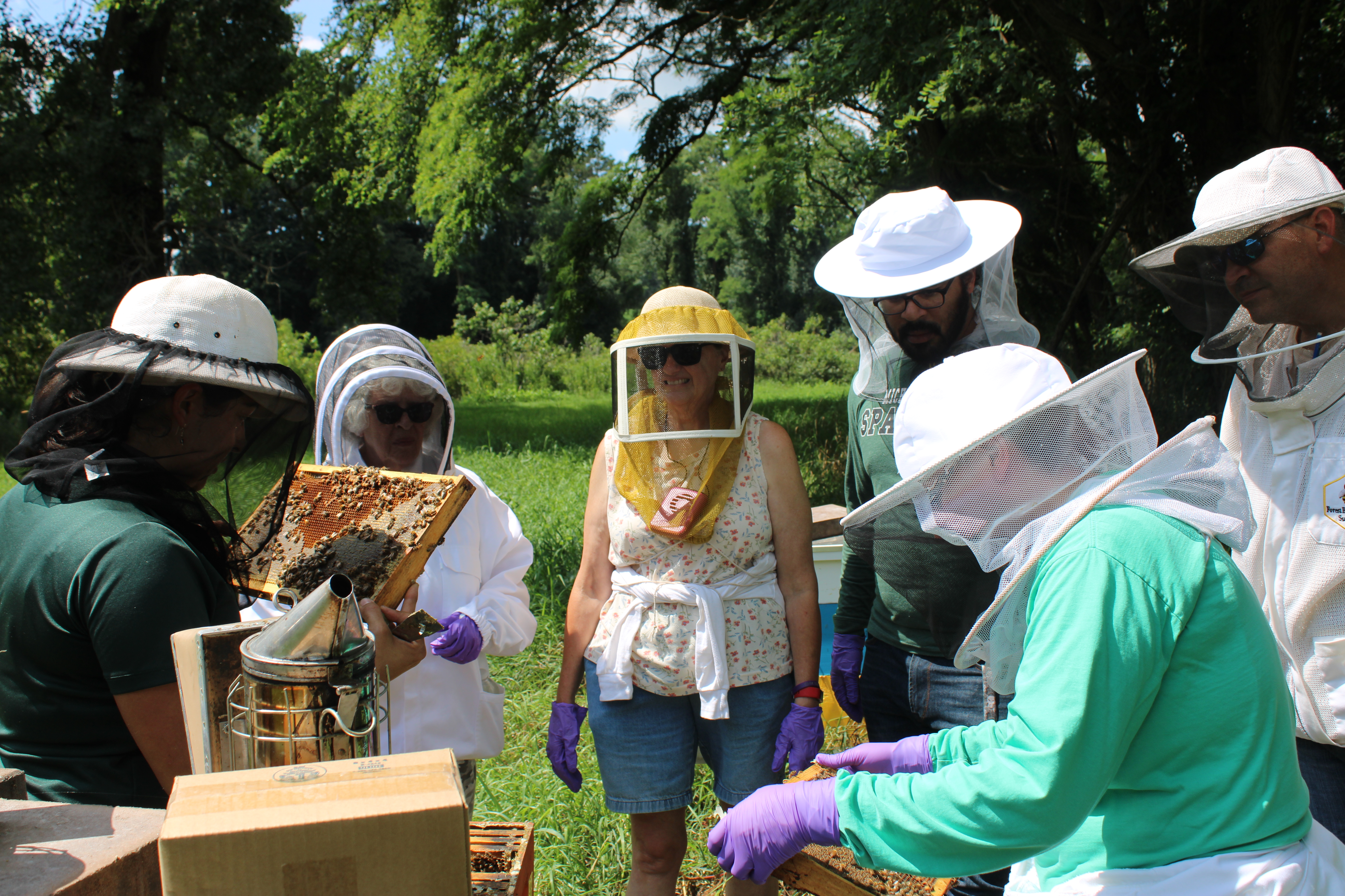 Photo of people gathered around a honey bee hive